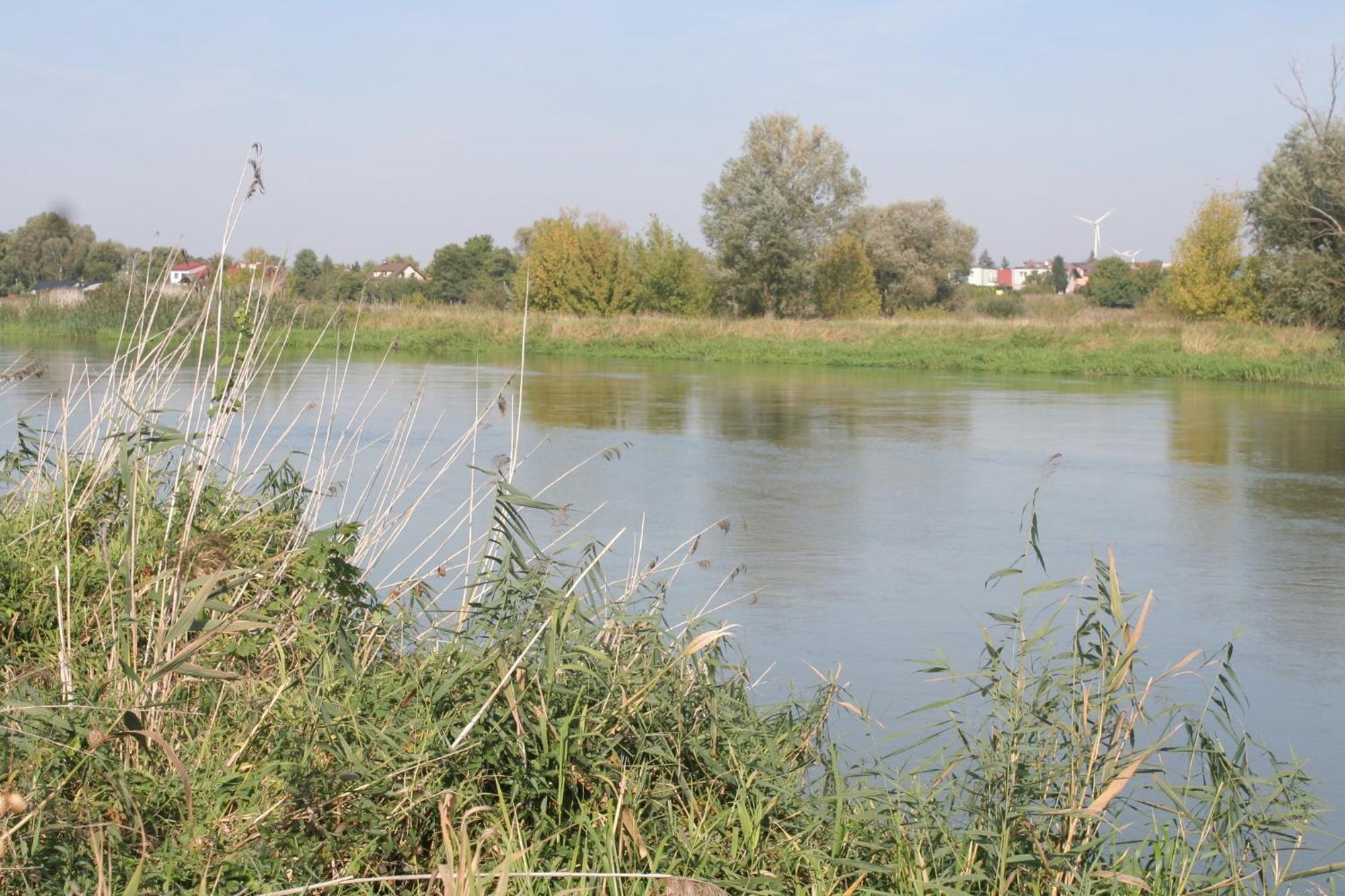 Kolo Apartament * Koło